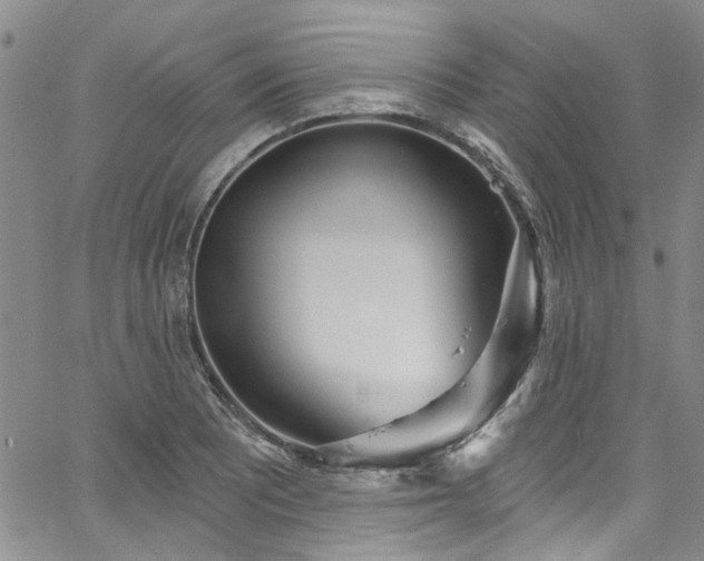 X0000067491081200604071158