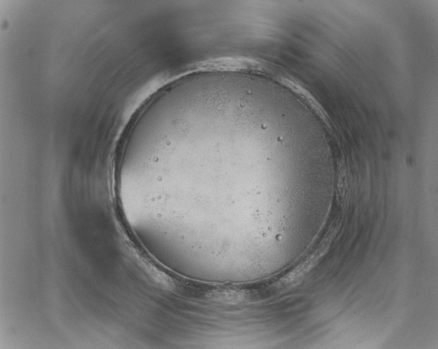 X0000067491083200604071158