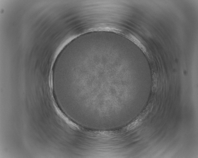 X0000067491084200604071158