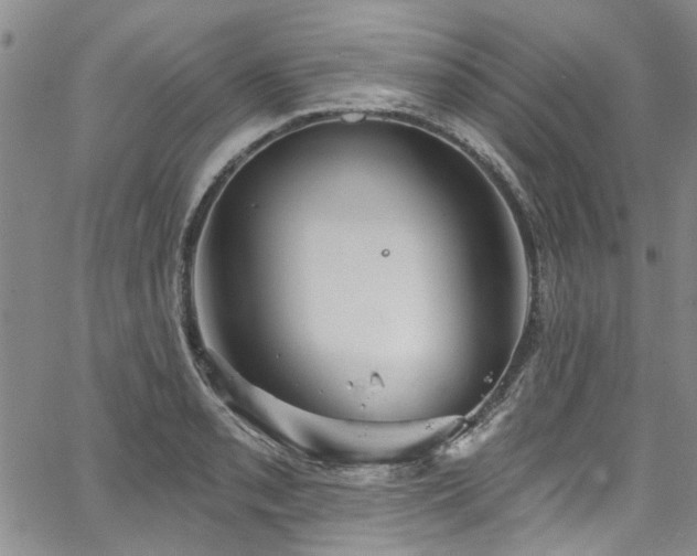 X0000067491085200604071158