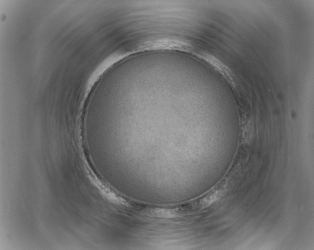 X0000067491086200604071158