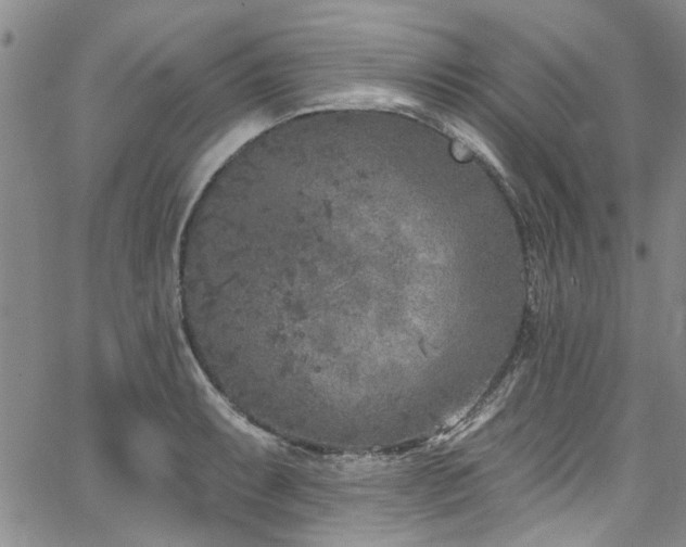 X0000067491087200604071158