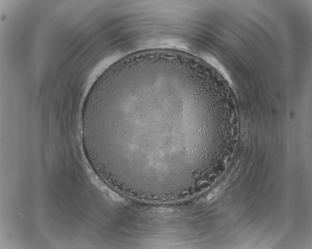 X0000067491088200604071158