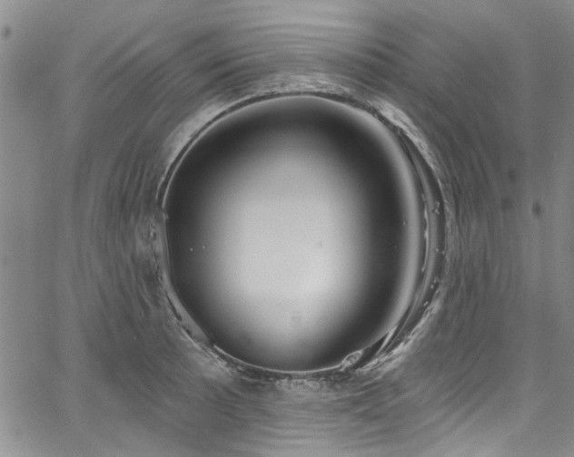 X0000067491089200604071158