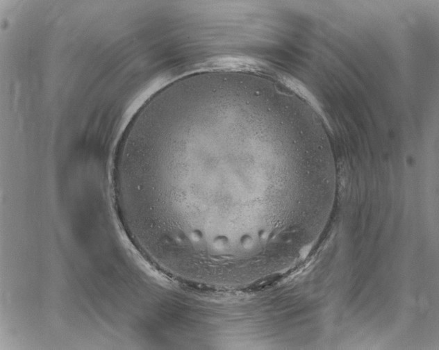 X0000067491091200604071158