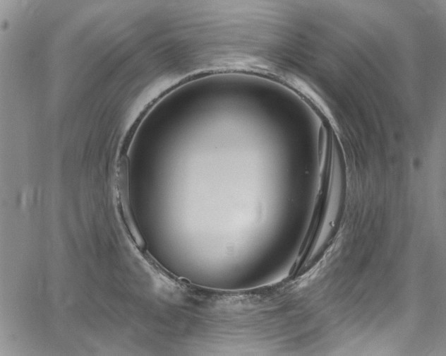 X0000067491093200604071158