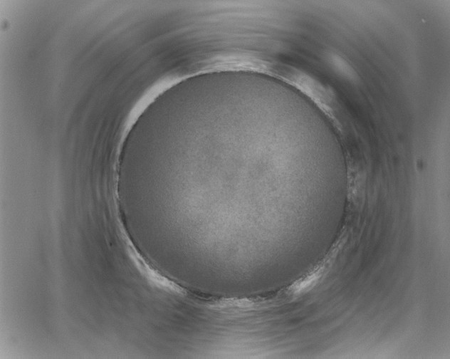 X0000067491094200604071158