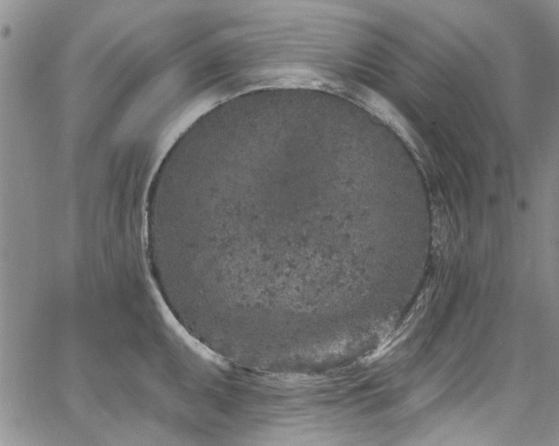 X0000067491095200604071158