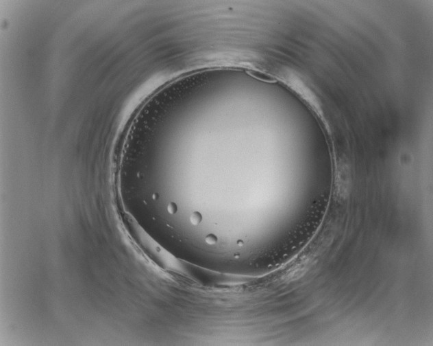 X0000067491096200604071158