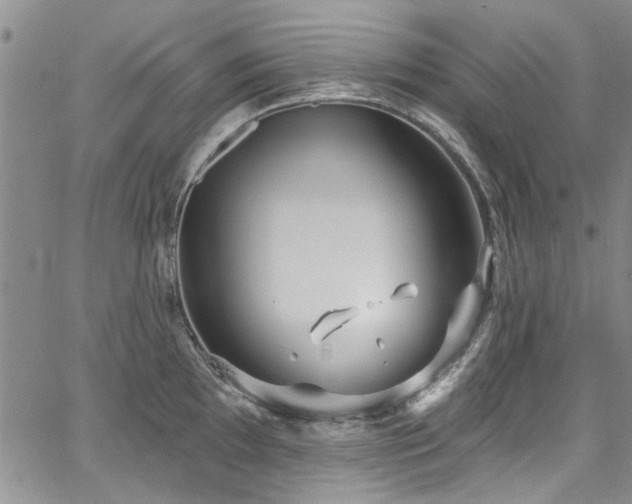 X0000067491097200604071158