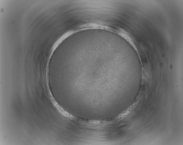 X0000067491098200604071158