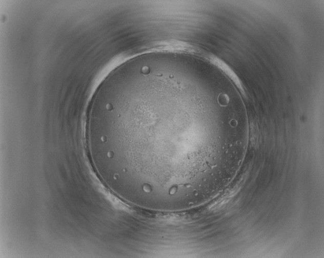 X0000067491099200604071158