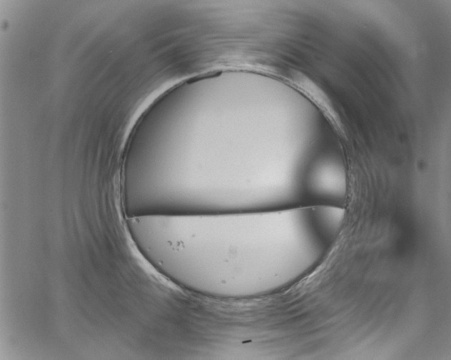 X0000067491100200604071158