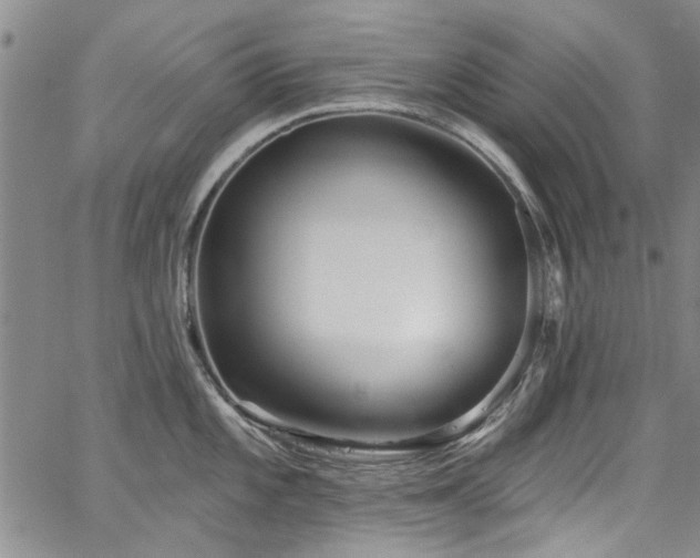 X0000067491101200604071157