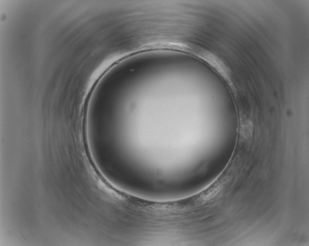 X0000067491102200604071157