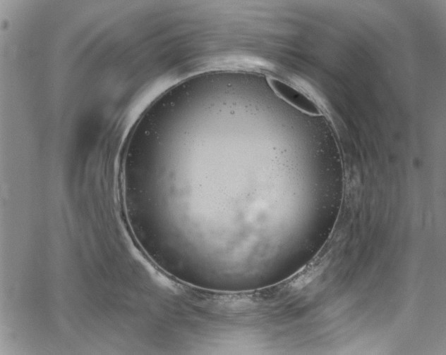 X0000067491103200604071157