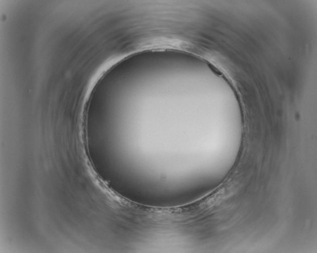 X0000067491104200604071157