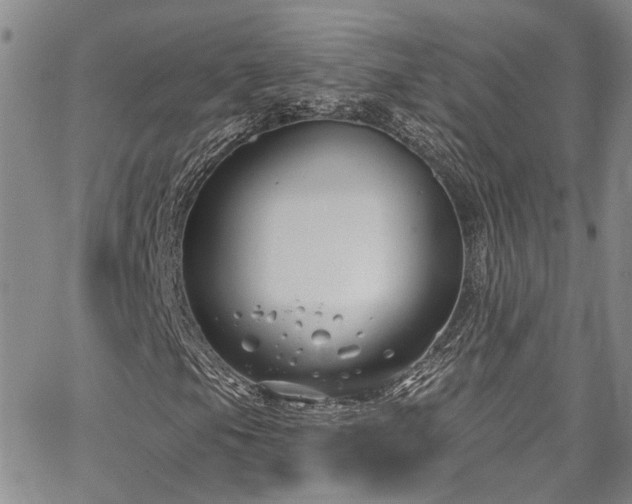 X0000067491105200604071157