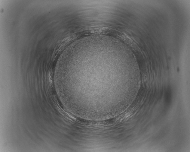 X0000067491106200604071157