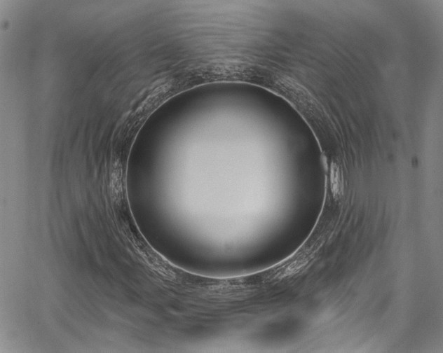 X0000067491107200604071157