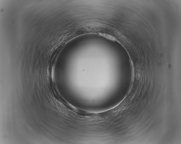 X0000067491108200604071157