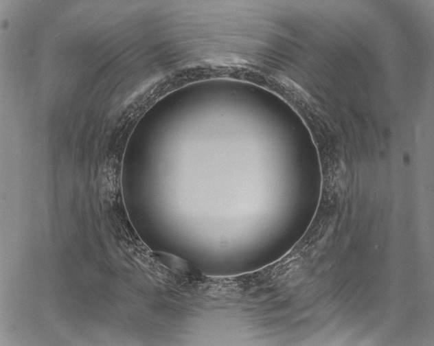 X0000067491110200604071157