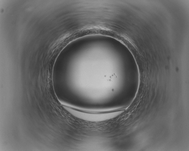 X0000067491111200604071157