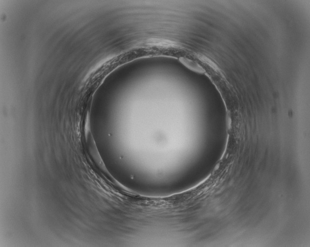 X0000067491112200604071157