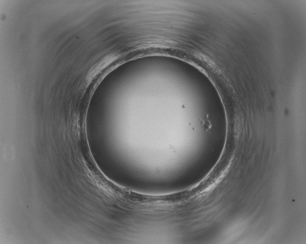 X0000067491113200604071157