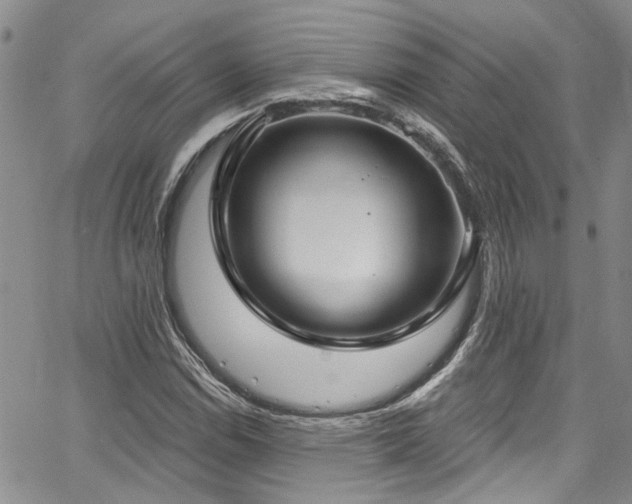 X0000067491114200604071157