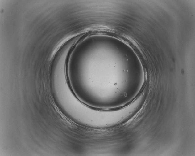 X0000067491115200604071157