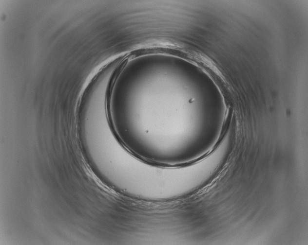 X0000067491116200604071157