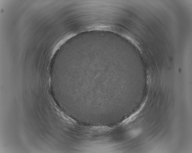 X0000067491117200604071157