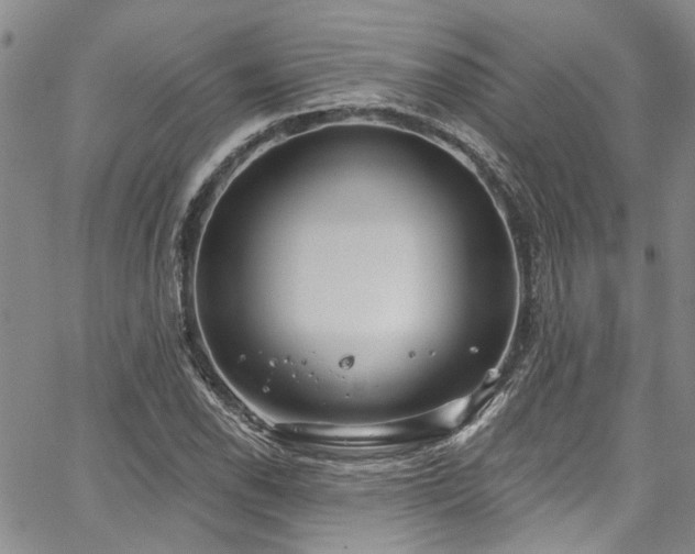 X0000067491118200604071157