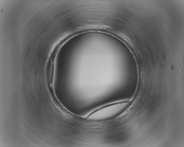 X0000067491119200604071157