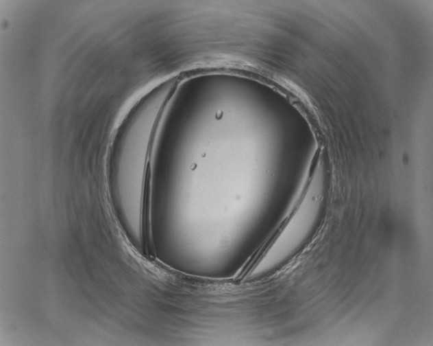 X0000067491120200604071157