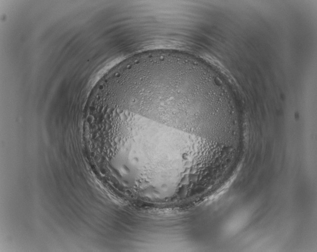 X0000067491121200604071157