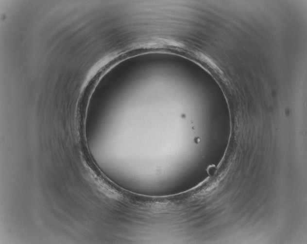 X0000067491122200604071157