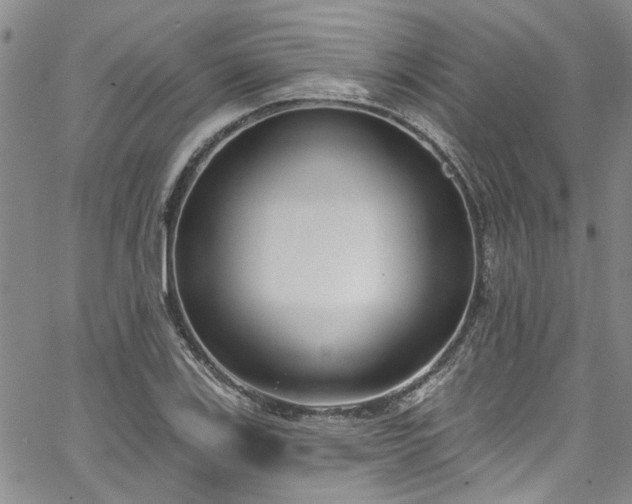 X0000067491123200604071157