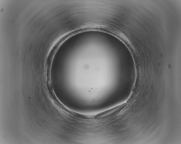 X0000067491124200604071157