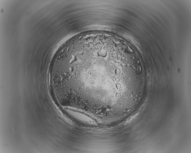 X0000067491125200604071157