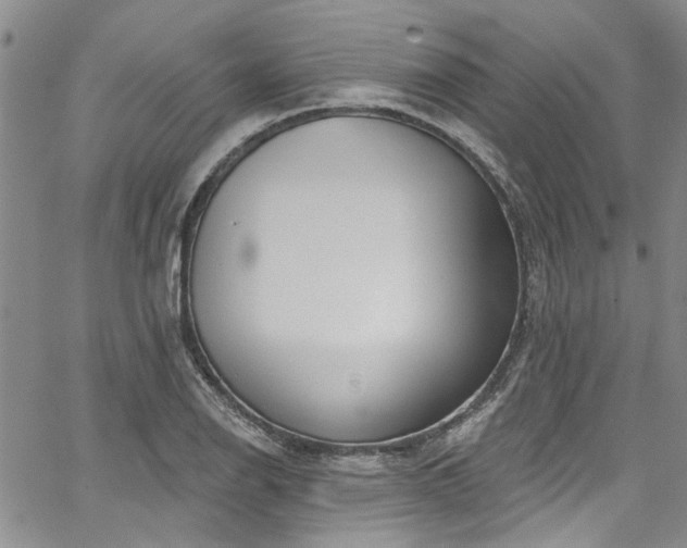 X0000067491126200604071157