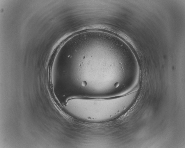 X0000067491127200604071157