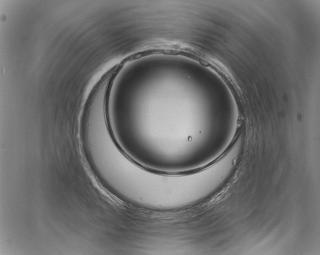 X0000067491128200604071157