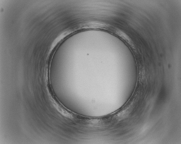 X0000067491130200604071157