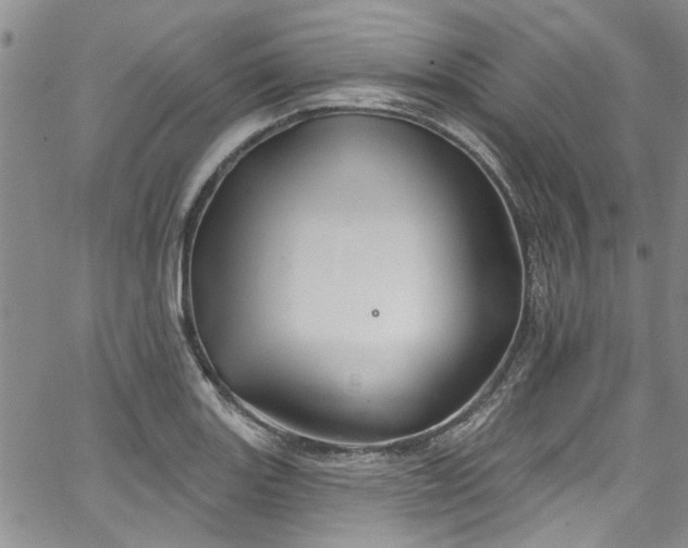 X0000067491131200604071157