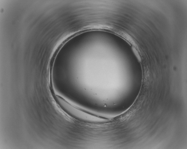 X0000067491132200604071157