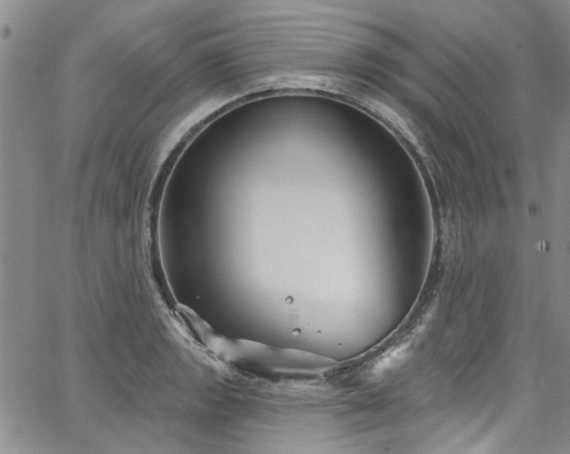 X0000067491133200604071157