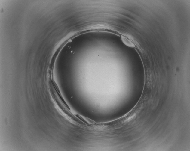 X0000067491134200604071157