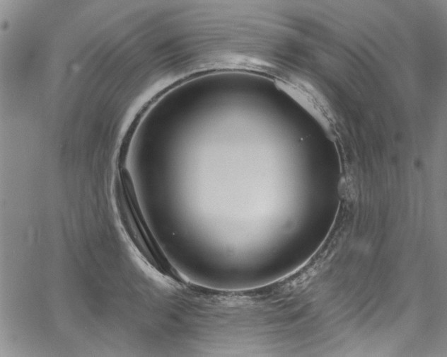 X0000067491136200604071157